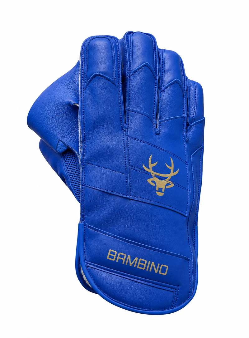 WICKET KEEPING GEAR