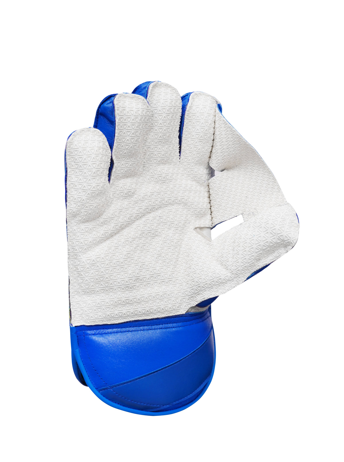 League Special Edition Wicket Keeping Gloves